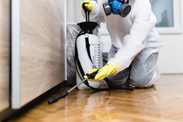 Best Exterminator Services  in Visalia, CA