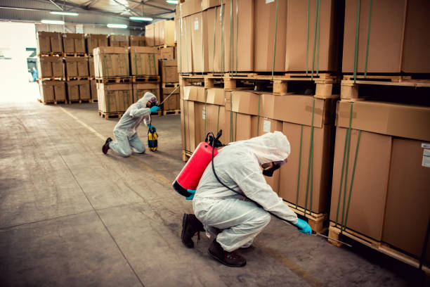 Best Pest Removal Services  in Visalia, CA