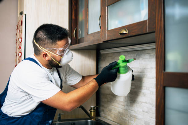 Best Best Pest Control Companies  in Visalia, CA