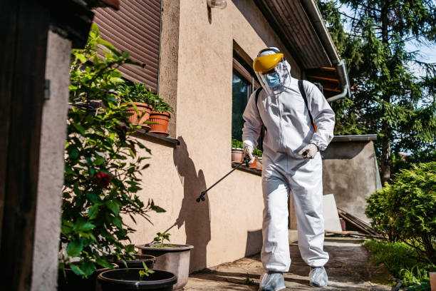 Best Best Pest Control Companies  in Visalia, CA