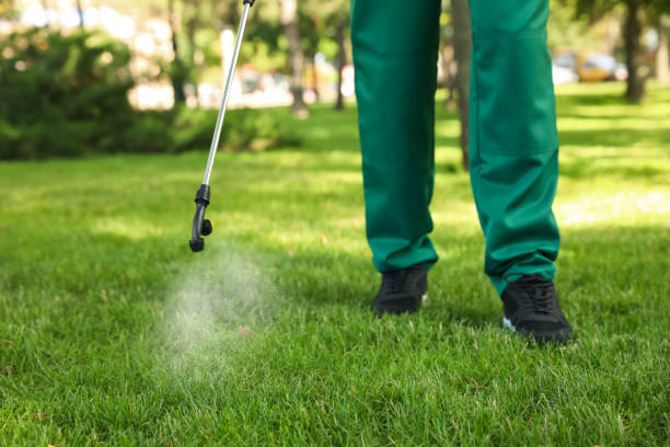 Best Affordable Pest Control Services  in Visalia, CA