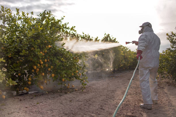 Best Best Pest Control Companies  in Visalia, CA