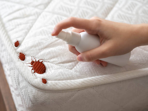 Pest Control for Restaurants in Visalia, CA