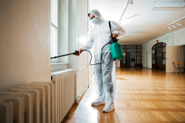 Wasp Removal Services in Visalia, CA