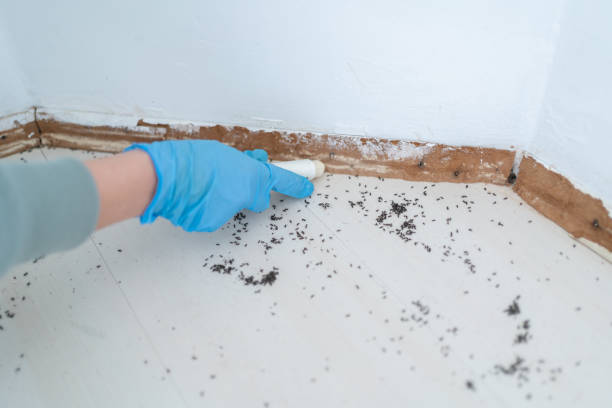 Best Exterminator Services  in Visalia, CA